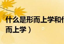什么是形而上学和什么是形而下学（什么是形而上学）