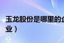 玉龙股份是哪里的企业（玉龙股份属于什么行业）