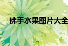 佛手水果图片大全集（佛手水果怎么吃）