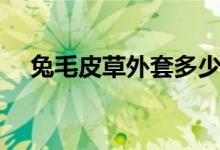 兔毛皮草外套多少钱（兔毛皮草怎么洗）