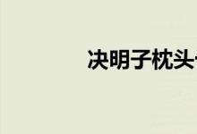  决明子枕头十大品牌有哪些 