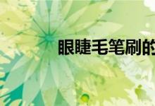  眼睫毛笔刷的作用 要怎么挑选 