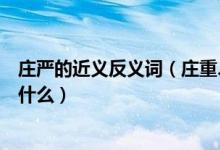 庄严的近义反义词（庄重、刚毅、歧视、绚烂的近反义词是什么）