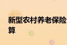 新型农村养老保险计算方法缴费 具体如何计算 