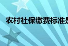 农村社保缴费标准是多少 哪些人可以参保 