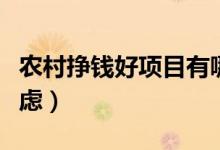 农村挣钱好项目有哪些（两大致富门路可以考虑）