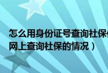 怎么用身份证号查询社保信息（我只知道身份证号码怎么在网上查询社保的情况）