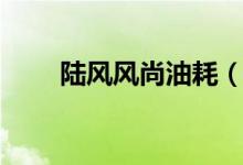 陆风风尚油耗（陆风风尚怎么样呢）
