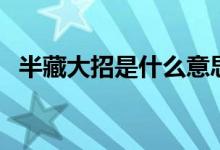 半藏大招是什么意思（半藏大招是什么字）