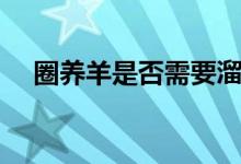 圈养羊是否需要溜达（圈养羊是什么羊）