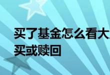 买了基金怎么看大盘 基金是否需要看大盘购买或赎回