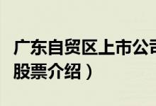 广东自贸区上市公司有哪些（广东自贸区概念股票介绍）