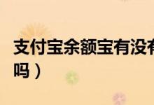 支付宝余额宝有没有风险（把钱存在里面安全吗）