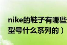 nike的鞋子有哪些系列（Nike的鞋都有什么型号什么系列的）