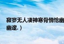 寂寥无人凄神寒骨悄怆幽邃赏析（寂寥无人,凄神凝骨,悄怆幽邃.）
