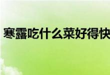 寒露吃什么菜好得快（寒露吃什么（图文））