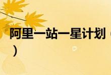 阿里一站一星计划（双十一推出合伙人的玩法）