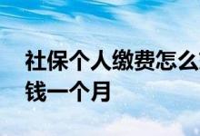 社保个人缴费怎么交 社保个人缴费需要多少钱一个月 