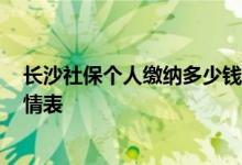 长沙社保个人缴纳多少钱一个月 2022年长沙市社保缴费详情表 