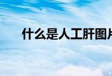 什么是人工肝图片（什么是人工降雪）