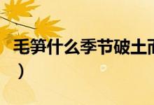 毛笋什么季节破土而出（春笋破土的三个条件）