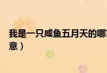 我是一只咸鱼五月天的哪首歌（五月天的咸鱼歌词有什么寓意）