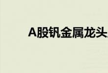 A股钒金属龙头上市公司有哪些（）