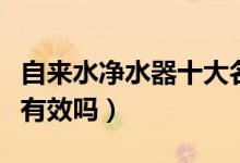 自来水净水器十大名牌的价格（自来水净水器有效吗）