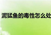 泥猛鱼的毒性怎么处理（泥猛鱼的毒性大吗）