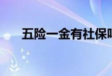 五险一金有社保吗 五险一金是指哪些 