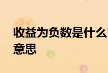 收益为负数是什么意思 持有收益负数是什么意思