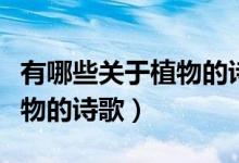 有哪些关于植物的诗歌四年级（有哪些关于植物的诗歌）