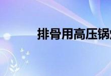  排骨用高压锅炖多长时间才好吃 