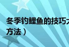 冬季钓鲤鱼的技巧大全（冬季钓鲤鱼的技巧和方法）