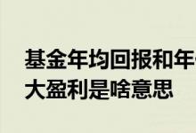 基金年均回报和年化回报 基金年化回报和最大盈利是啥意思