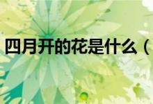 四月开的花是什么（有什么花在一至四月开）