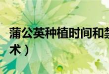 蒲公英种植时间和禁忌（蒲公英种植时间与技术）