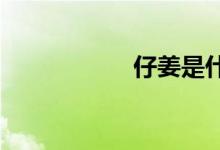  仔姜是什么时候上市 