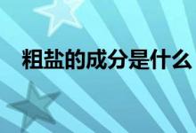 粗盐的成分是什么（粗盐的成分是什么?）