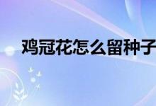 鸡冠花怎么留种子（鸡冠花怎么留种子）