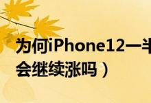 为何iPhone12一半用户选蓝色（苹果股价还会继续涨吗）