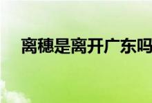 离穗是离开广东吗（这到底是什么意思）