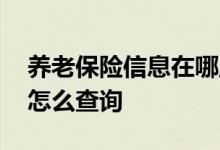 养老保险信息在哪里查询 养老保险详细信息怎么查询 