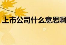 上市公司什么意思啊 国内上市公司什么意思 