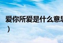 爱你所爱是什么意思啊（爱你所爱是什么意思）
