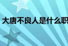 大唐不良人是什么职位（大唐不良人是什么）