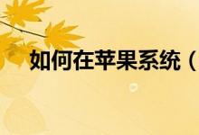 如何在苹果系统（Mac下打开swf文件）