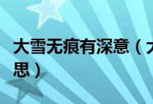 大雪无痕有深意（大雪无痕大爱无言是什么意思）