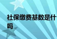 社保缴费基数是什么意思 缴费基数越大越好吗 