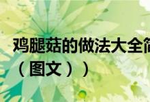鸡腿菇的做法大全简单又好吃（鸡腿菇的做法（图文））
